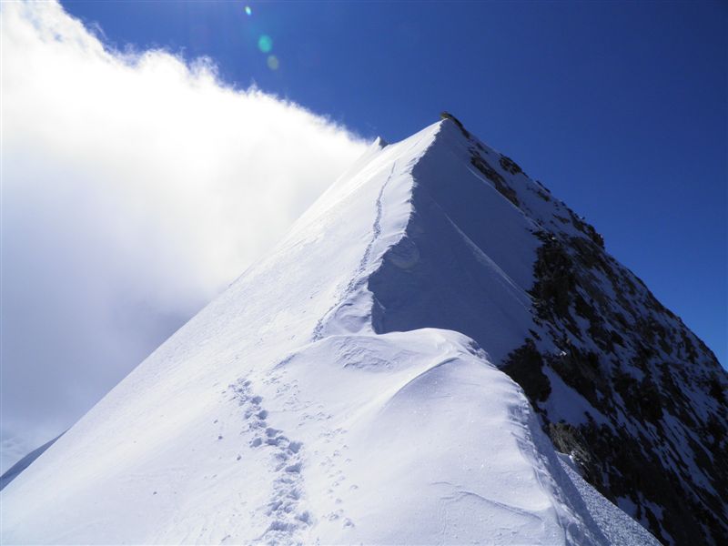 C:UsersprazakDesktopPrivat k 28.1.2011HORYWallis Weishorn 8_2011P8200047.JPG