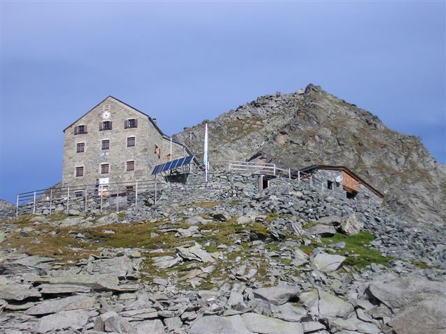 2006
