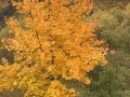 05-11