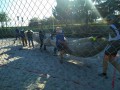 IMG_20200420_171553