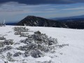 DSC00855