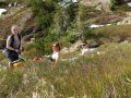 DSC00884