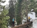 IMG-20240331-WA0001