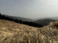 IMG-20240331-WA0029