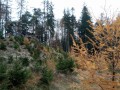 Vyletek-2021-11-11