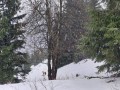 23.-do-Jasne-tady-to-jeste-jde