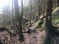 2020-02-16-Martínkovice-6