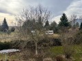4.1-50