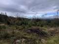 03-nedele-26.10-48