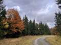 03-nedele-26.10-55