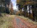 03-nedele-26.10-56