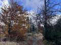 03-nedele-26.10-59