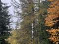 04-pondeli-27.10-57