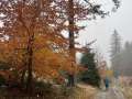 04-pondeli-27.10-70