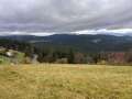 05-utery-28.10-11
