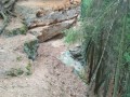 Příhrazy-2019-06-23-2