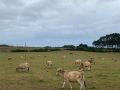 IMG-20230724-WA0002