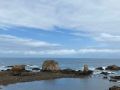 IMG-20230724-WA0004
