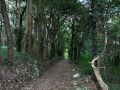 IMG-20230727-WA0005