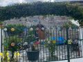 IMG-20230730-WA0013