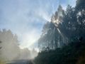 IMG-20230731-WA0008