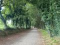 IMG-20230801-WA0001