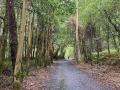 IMG-20230802-WA0005