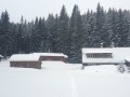 20250111_093950