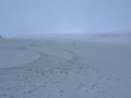 IMG_3957
