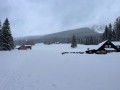 IMG_8518