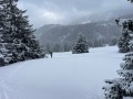IMG_8519