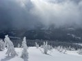 IMG_8520