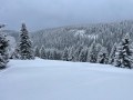 IMG_8521