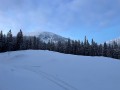 IMG_8529