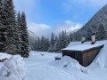 IMG_8532