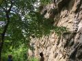 3-10g