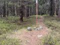 5.6-21