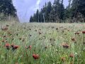 14-9
